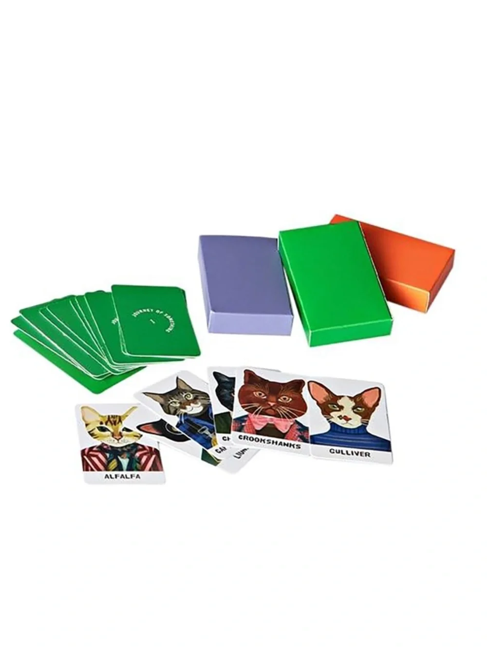 Guess the Feline Kids Toy Game - Colorful Cat Characters